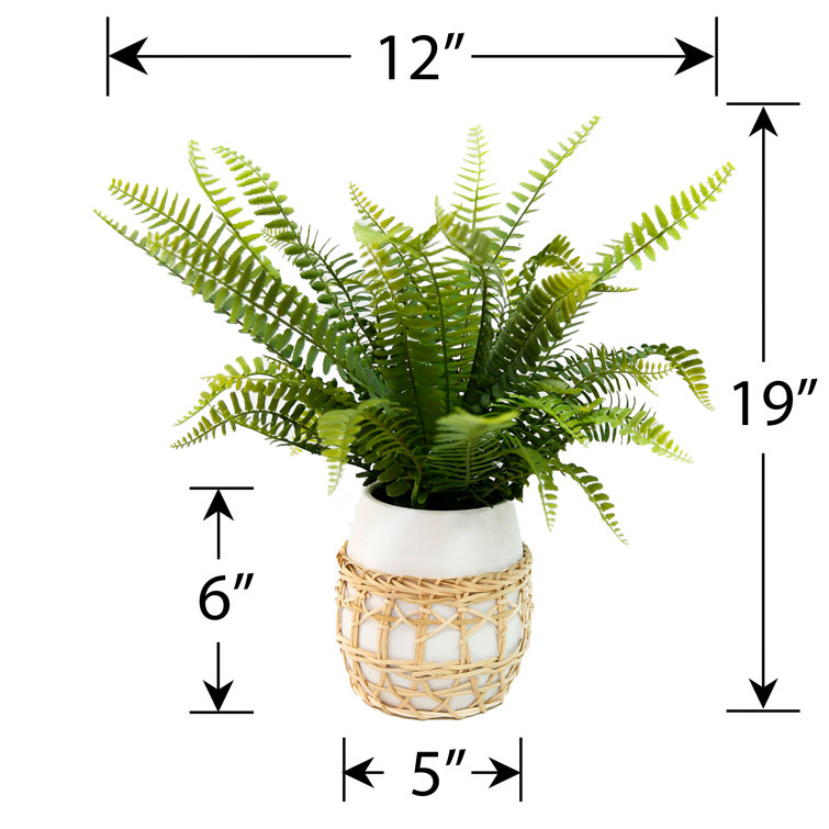 Primrue 19'' Faux Fern Plant in Ceramic Pot Wayfair Canada